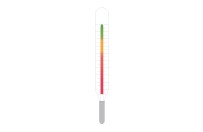 Magnetic thermometer