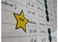 New magnet (star) on a board